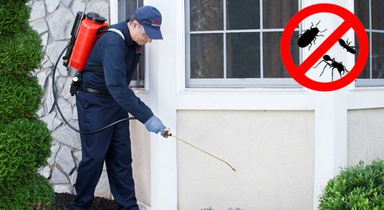Çubuk Bit İlaçlama böcek ilaçlama ve haşere kontrolü — ilaclama-tr.com
